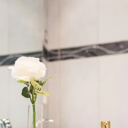 5-star On Rue D'antibes Apartment